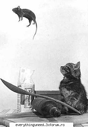 texte d agatzat - postatzi aiki cele my tari metode folosite d - Teen_Kitty's Advice Forum